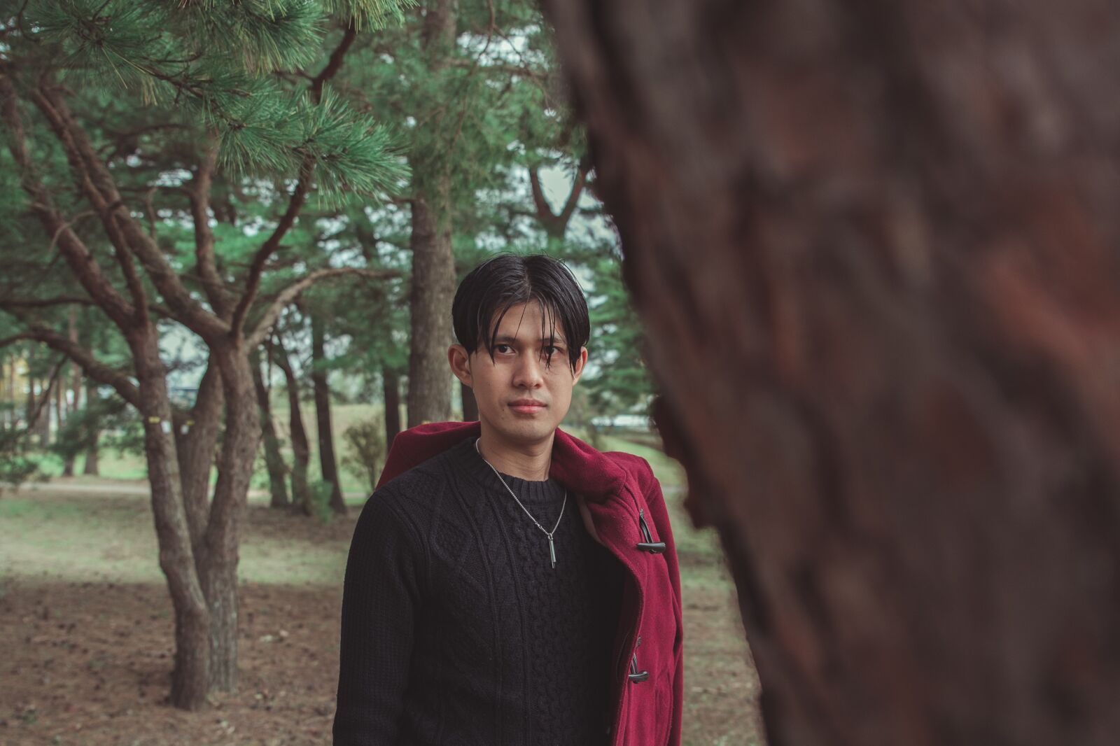 Nikon D7100 sample photo. Portrait, people, tree photography