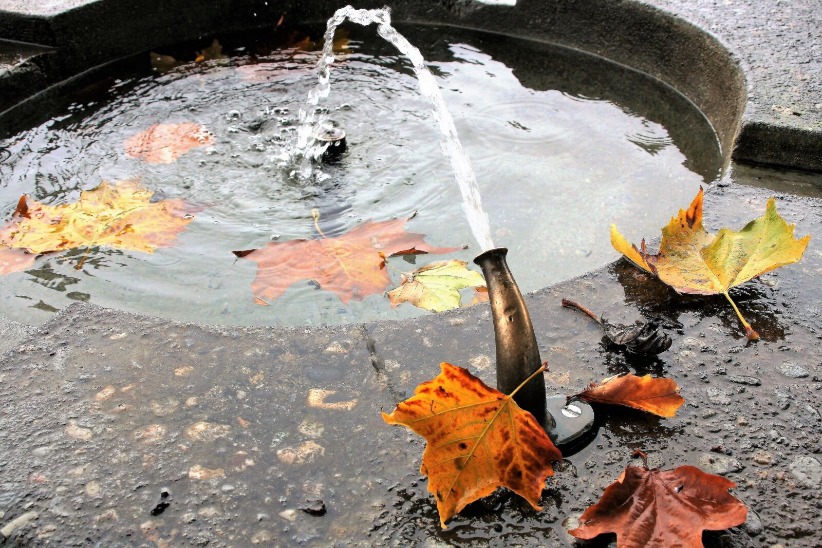 Canon EOS 400D (EOS Digital Rebel XTi / EOS Kiss Digital X) sample photo. Manhole, stone, wet photography