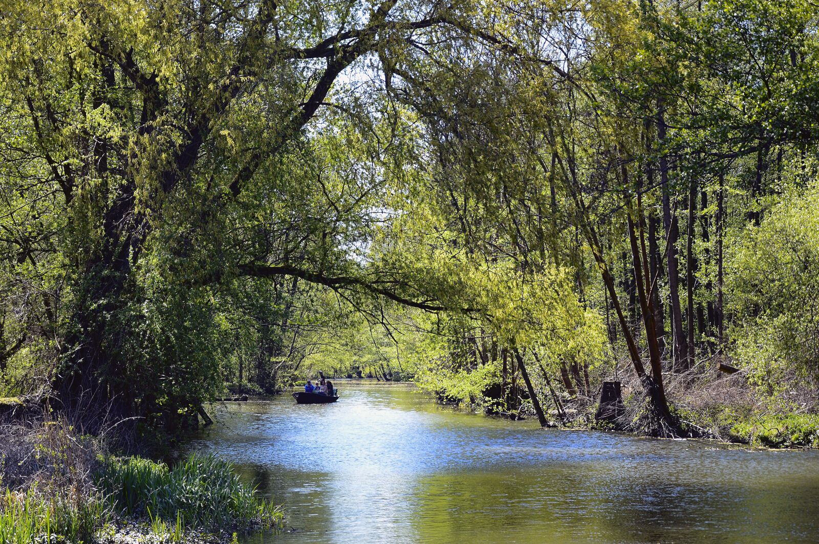 Nikon D3200 sample photo. Channel, waterway, water photography