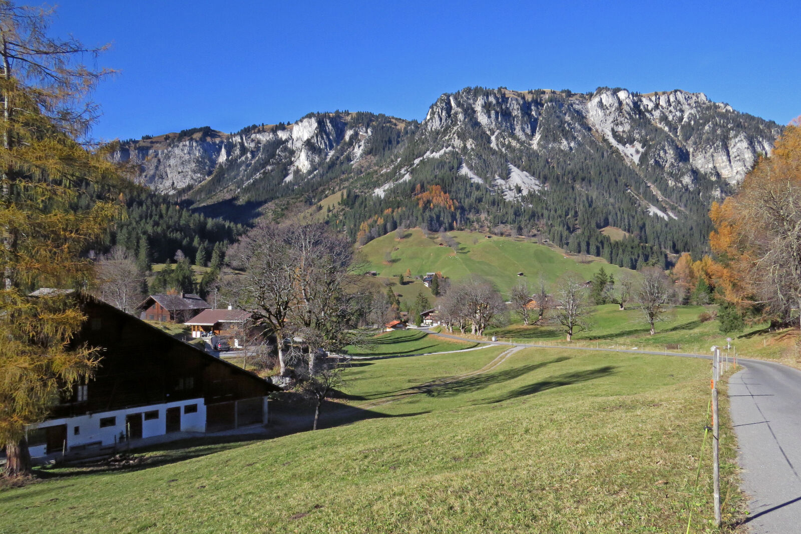 Canon PowerShot SX50 HS sample photo. Chalet, mountainsalp, trees photography