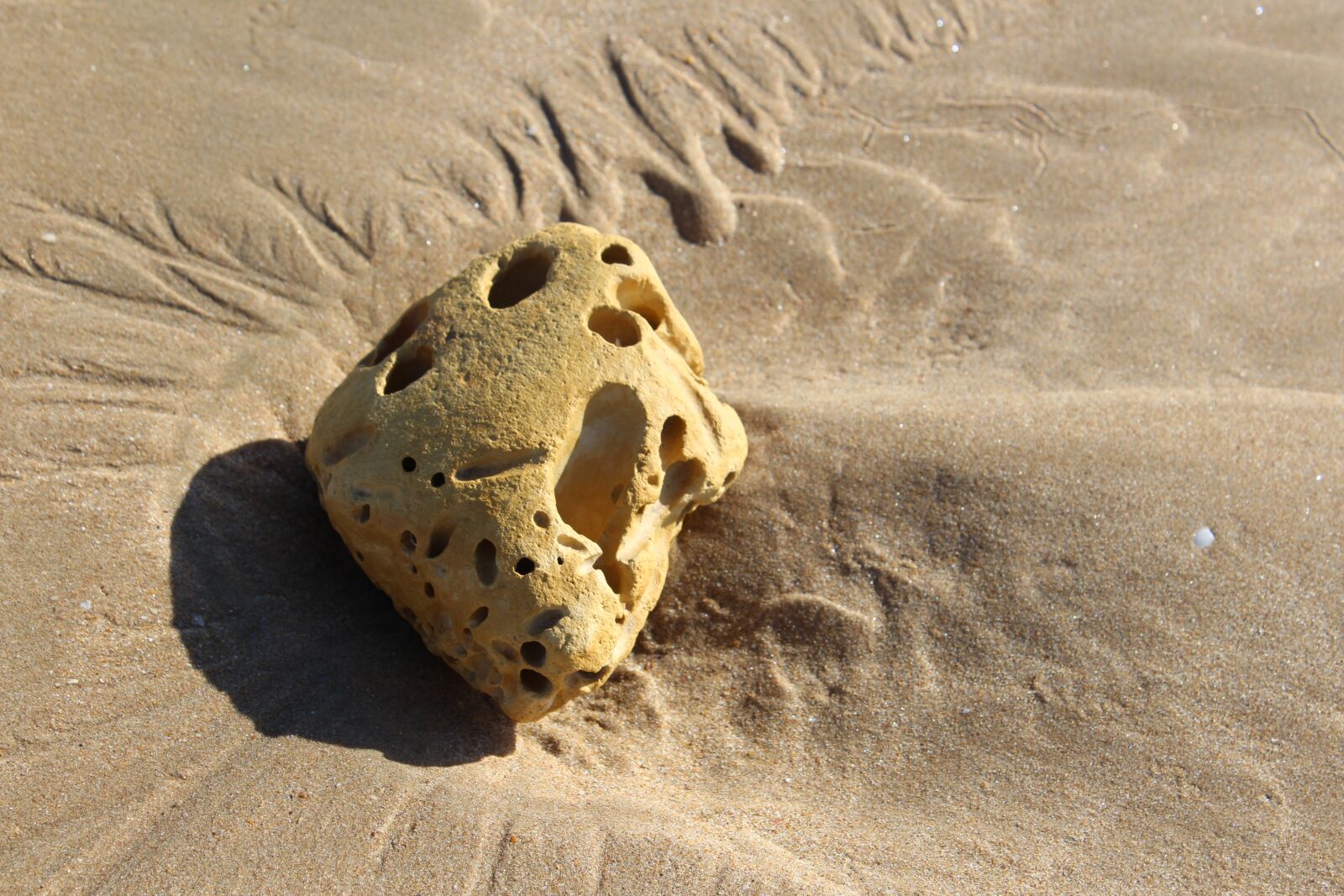 Canon EOS 1200D (EOS Rebel T5 / EOS Kiss X70 / EOS Hi) sample photo. Beach, sand, sea photography
