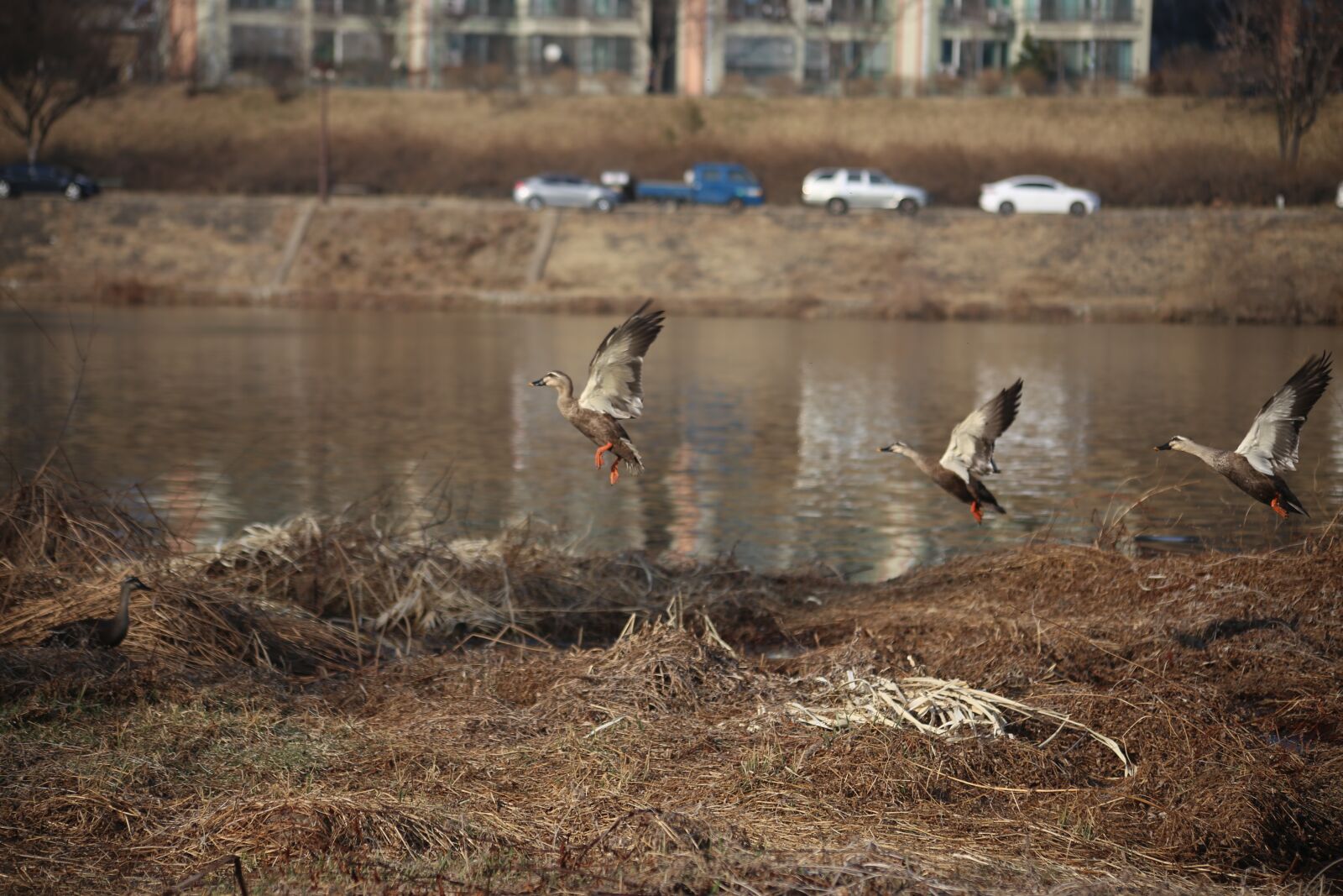 Canon EOS 6D sample photo. Water, outdoors, river photography