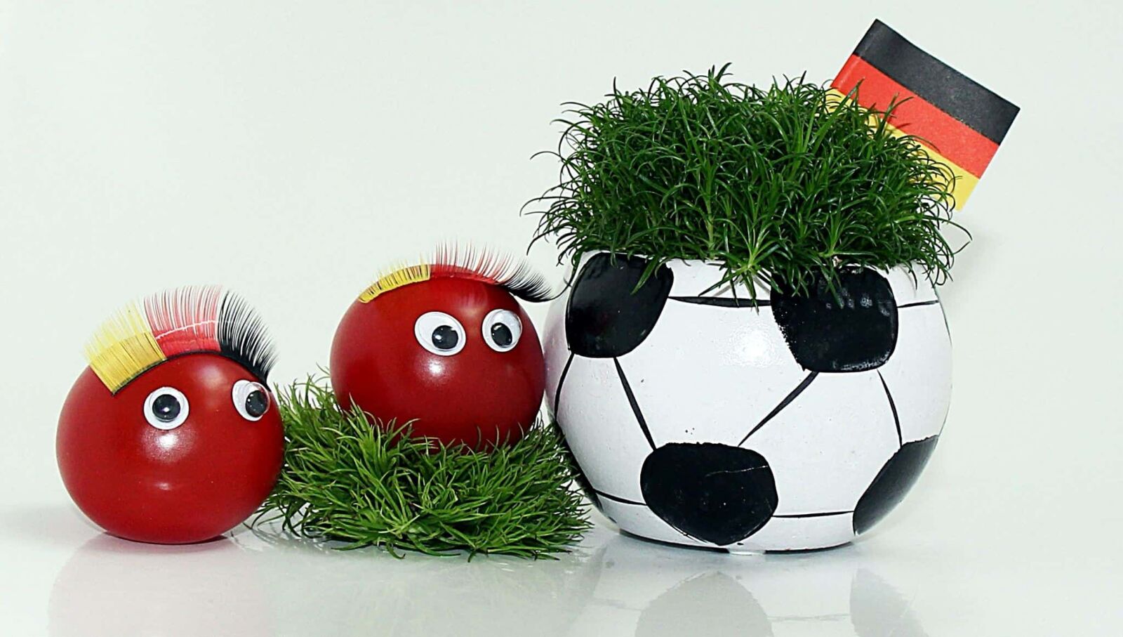 Canon EOS 550D (EOS Rebel T2i / EOS Kiss X4) sample photo. Vegetable, still life, grass photography