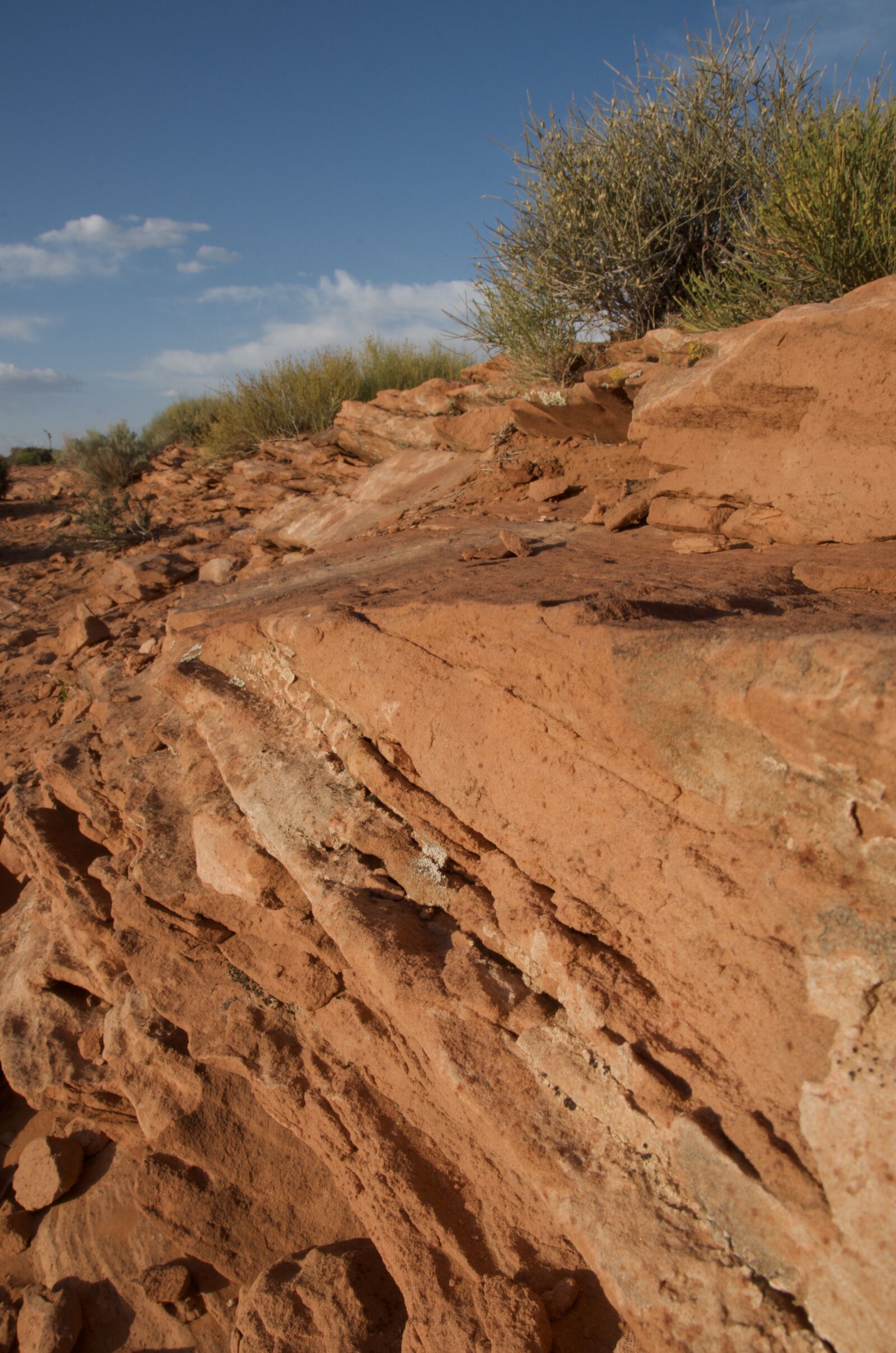 Nikon D7000 sample photo. Horseshoe bend, desert, gorge photography