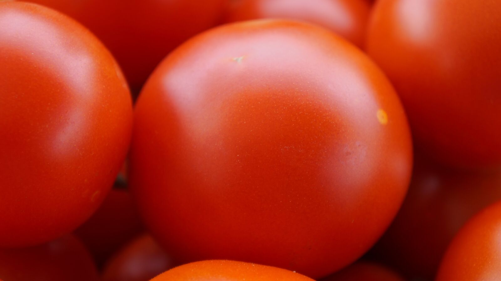 Sony Alpha a3000 sample photo. Tomatoes, red, ripe photography