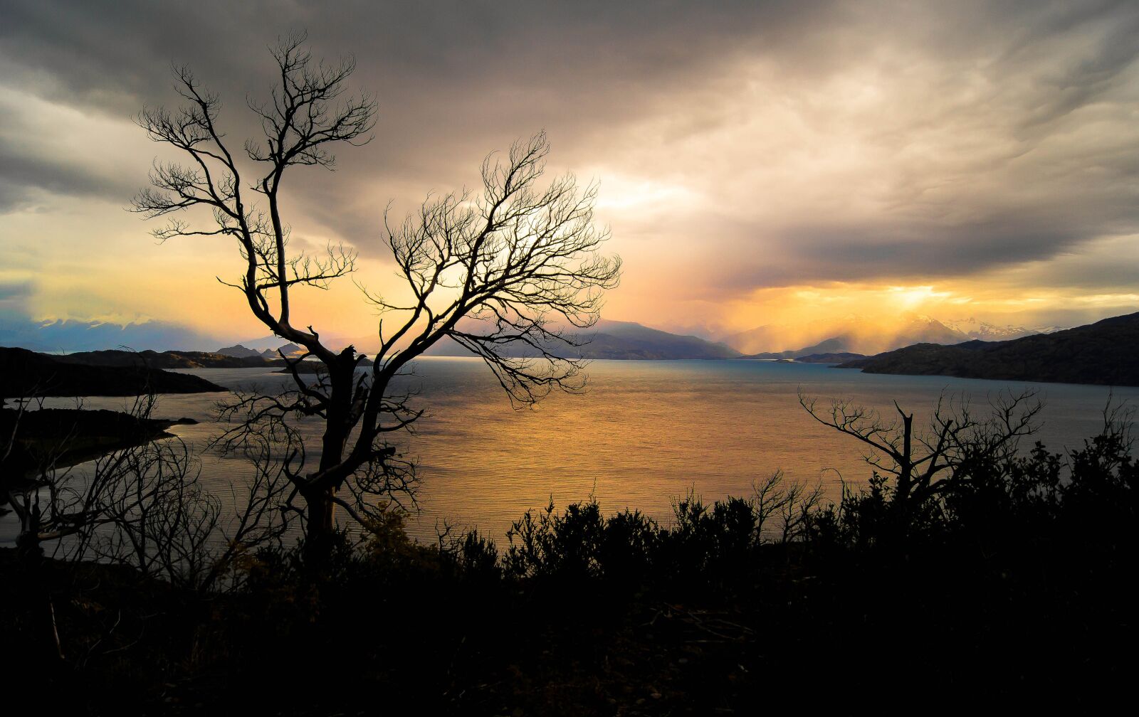 Sony SLT-A37 sample photo. Sunset, dawn, tree photography