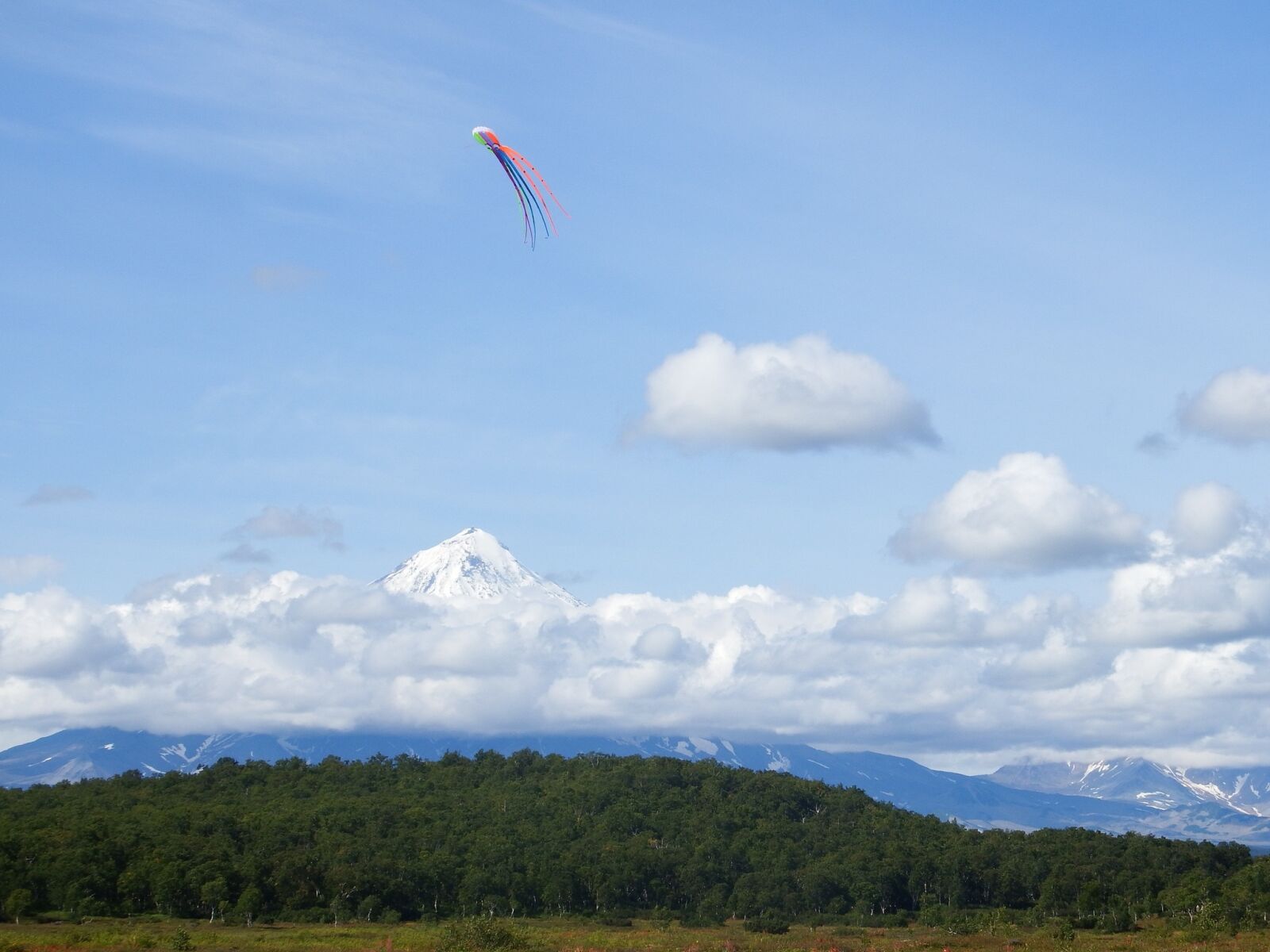 Fujifilm FinePix S1 sample photo. Sky, clouds, kite photography