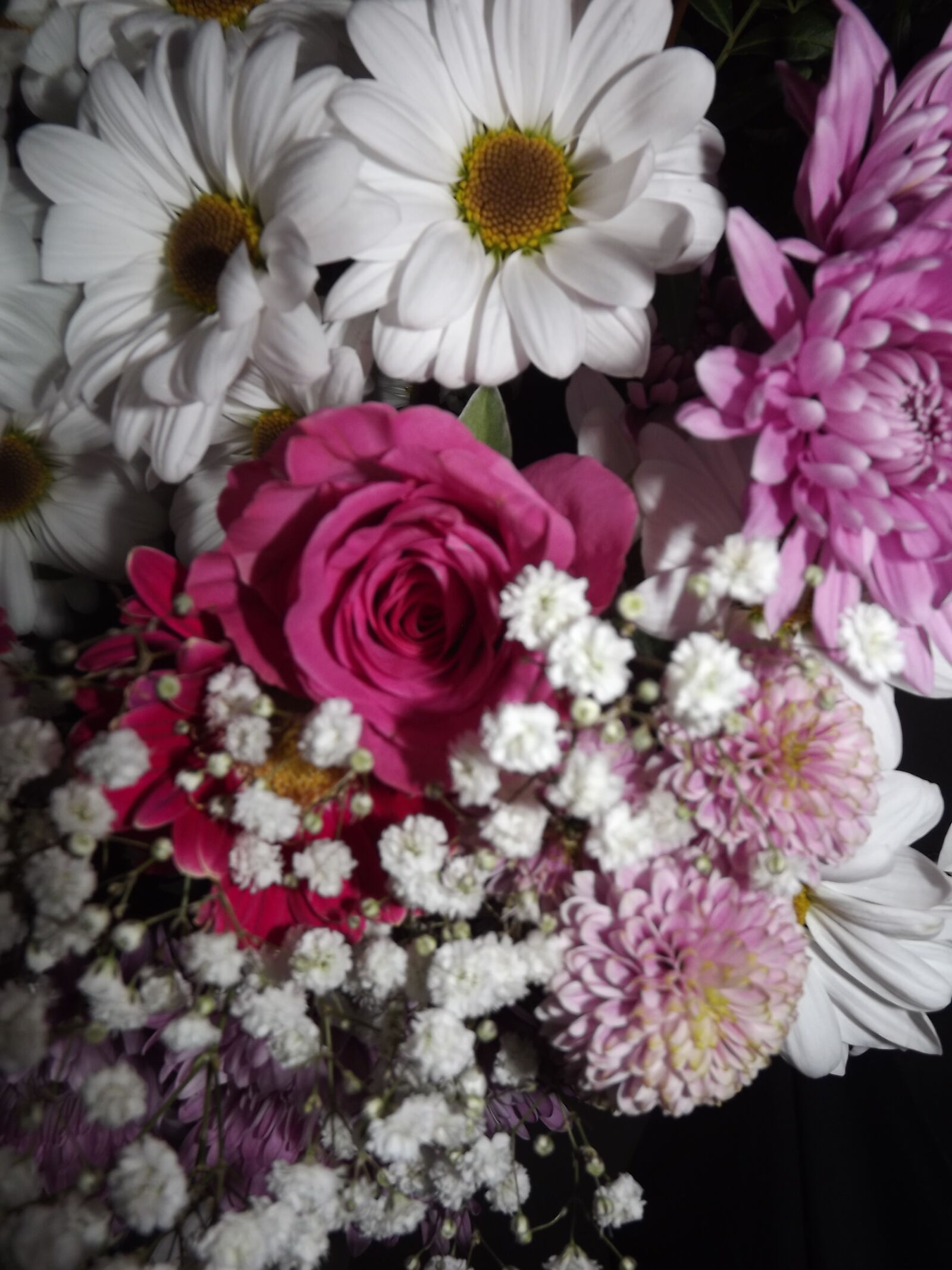 Fujifilm FinePix S3300 sample photo