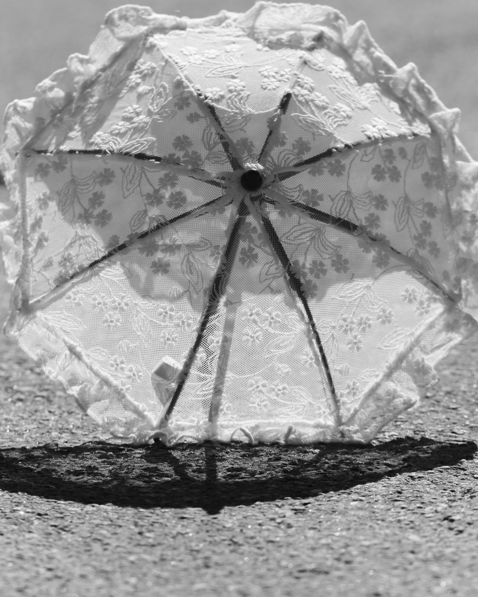Canon EOS 7D Mark II sample photo. Umbrella, sun, shadow photography