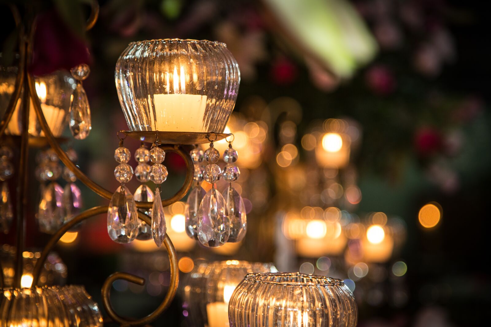 Canon EF 24-105mm F4L IS USM sample photo. Decoration, party, arrangement photography