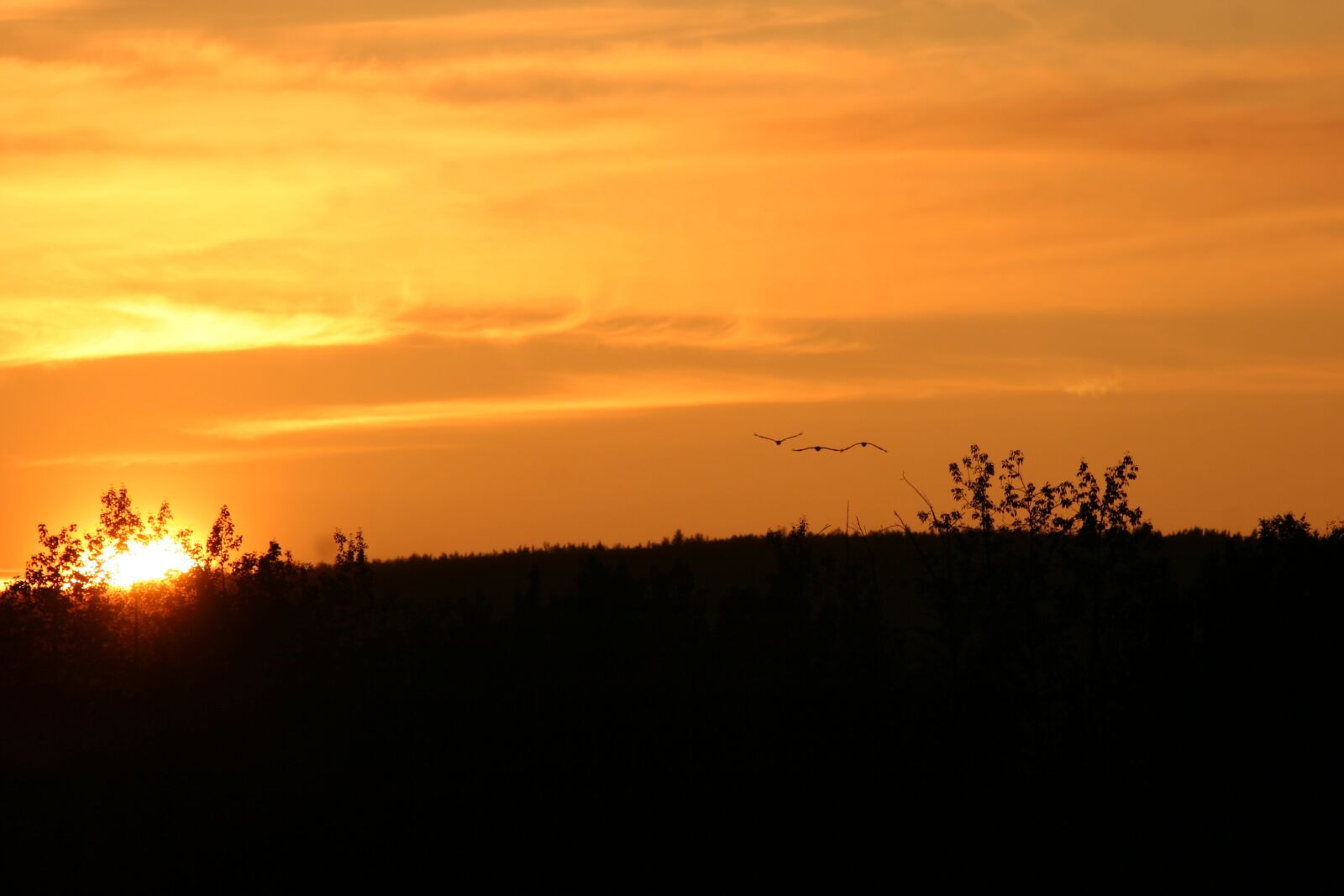 Canon EOS 20D sample photo. Sunset, alaska, fairbanks photography