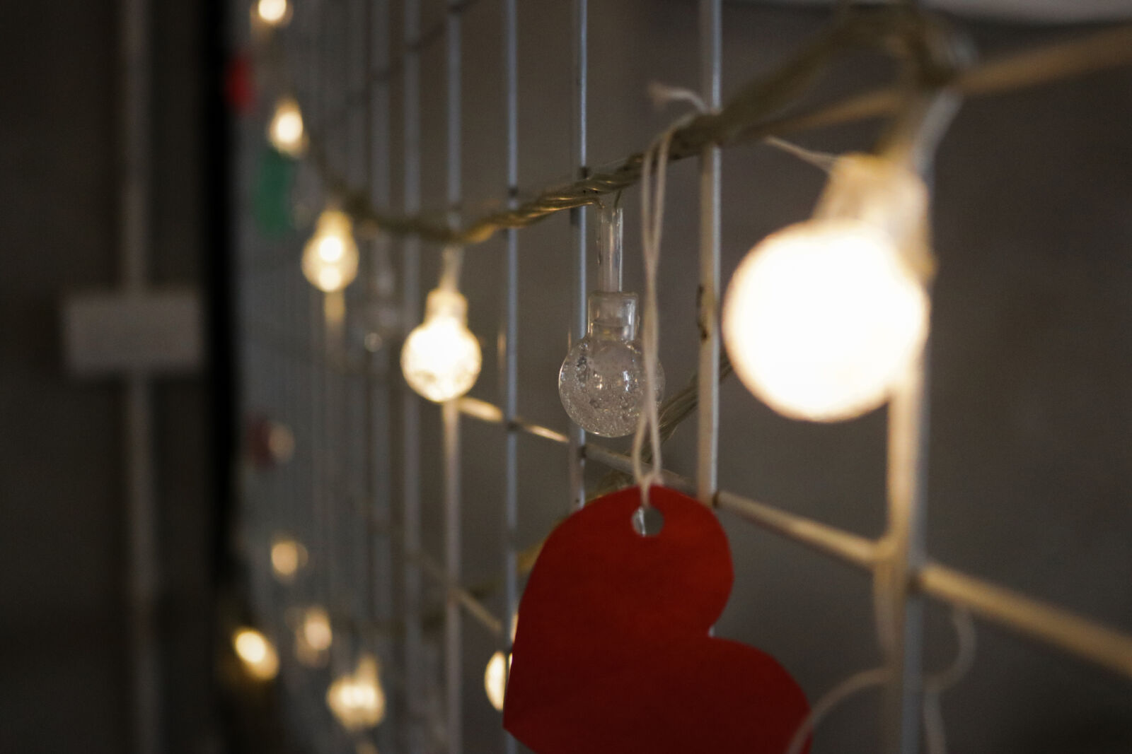 Canon EOS 750D (EOS Rebel T6i / EOS Kiss X8i) sample photo