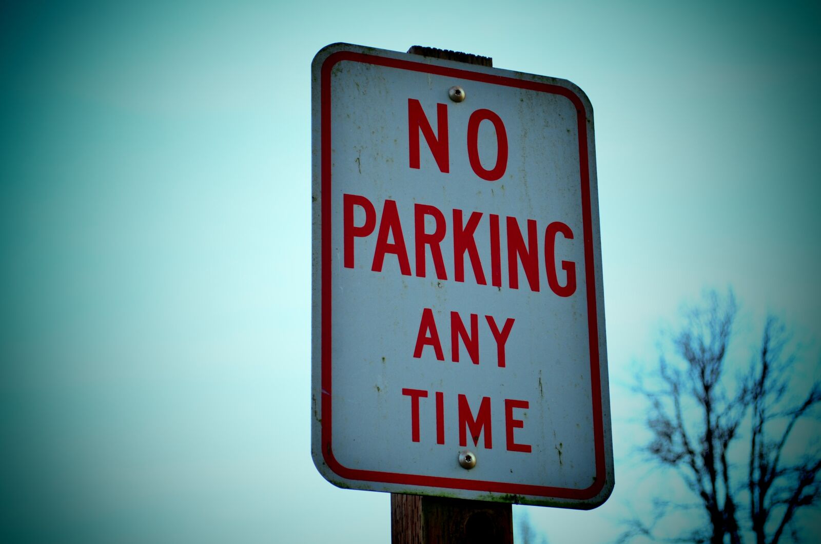 Nikon D5100 sample photo. Sign, parking, road photography