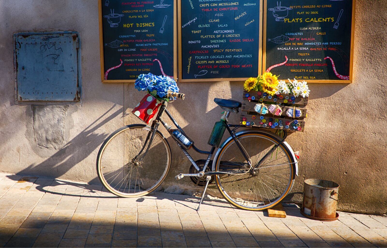 Fujifilm X-A2 sample photo. Bike, bicycle, flowers photography