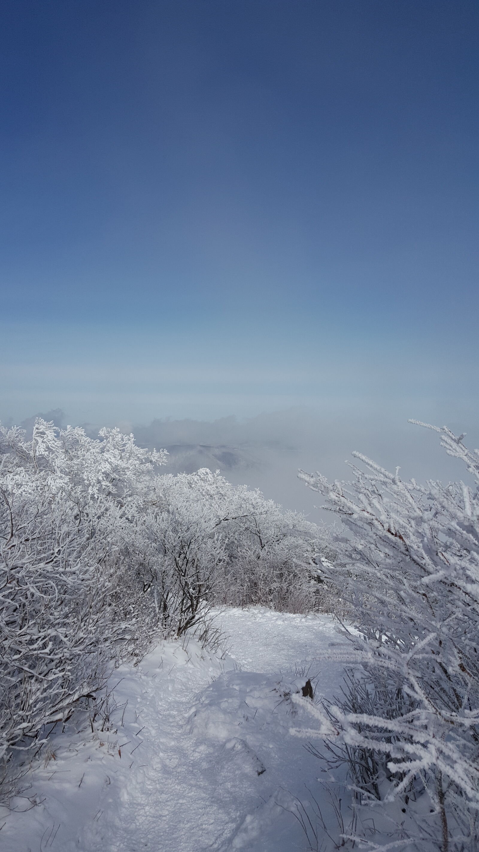 Samsung Galaxy Note5 sample photo. Korea, mountain, taebaeksan, winter photography