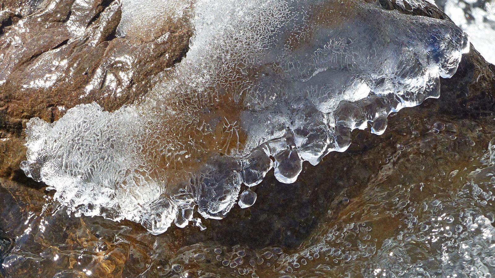 Panasonic Lumix DMC-FZ200 sample photo. Nature, gel, water photography