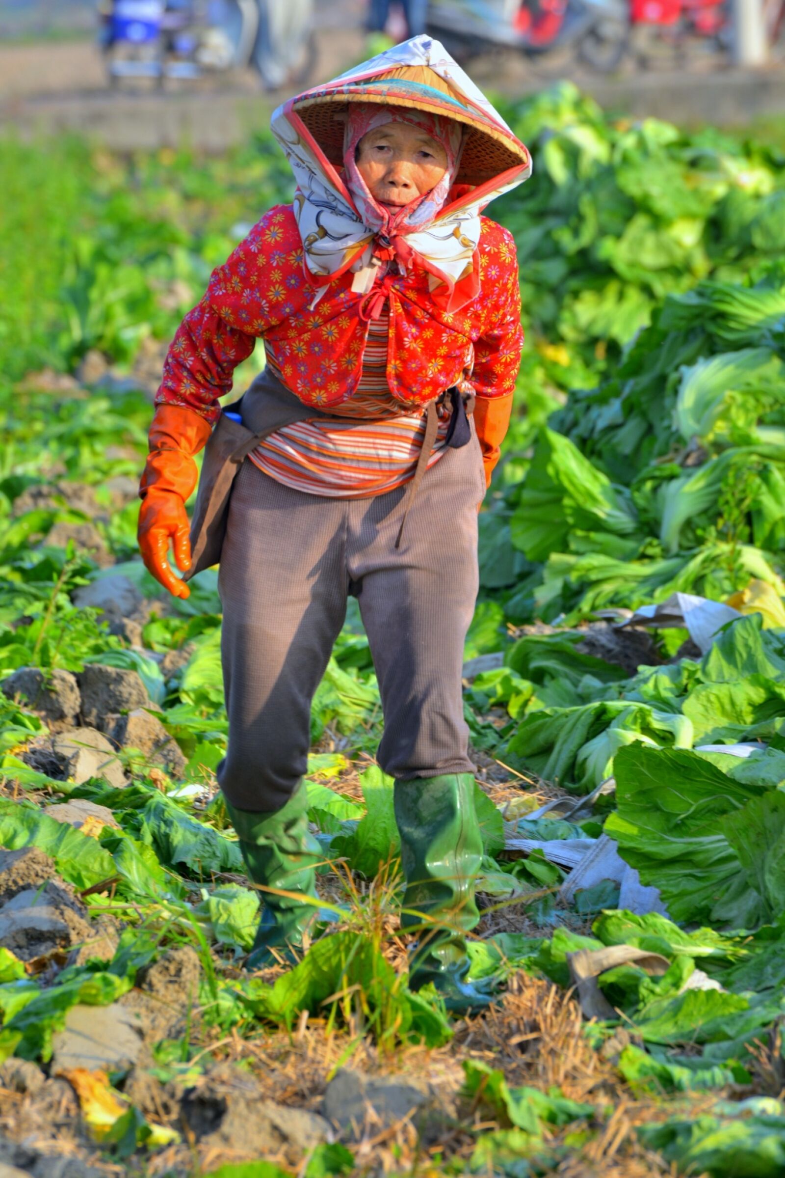 Nikon D800E sample photo. Humanities, cultivate, rural photography