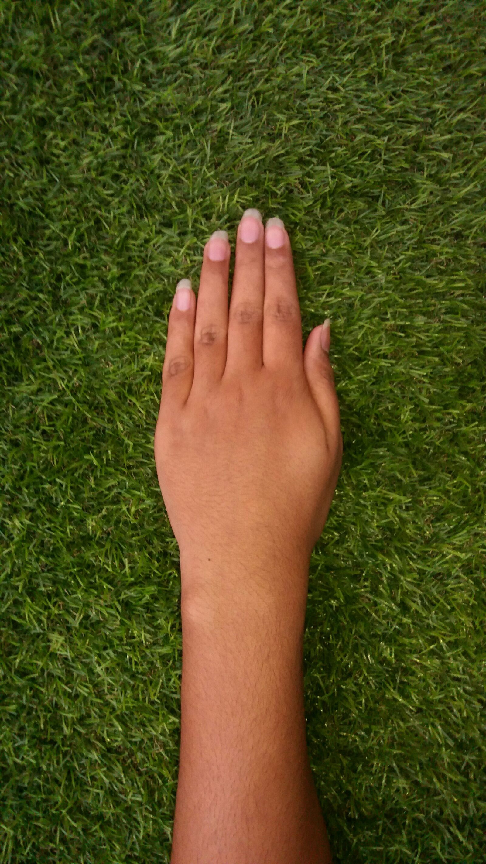 Samsung Galaxy J5 sample photo. Hand, grass, one hand photography