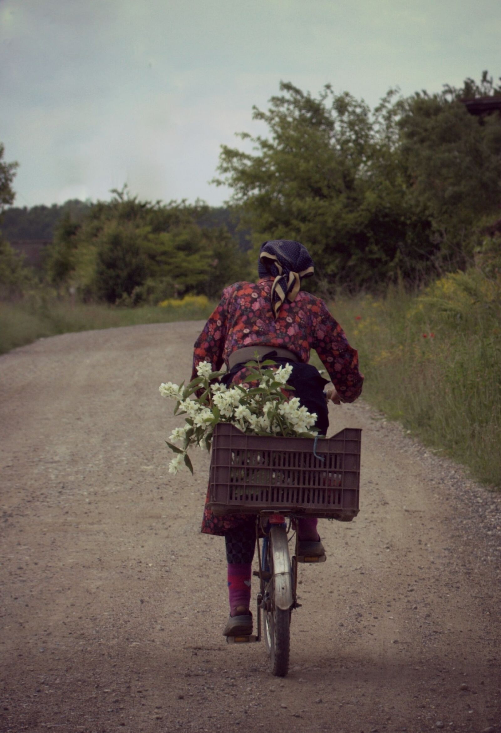Canon EF-S 60mm F2.8 Macro USM sample photo. Woman, old, bike photography