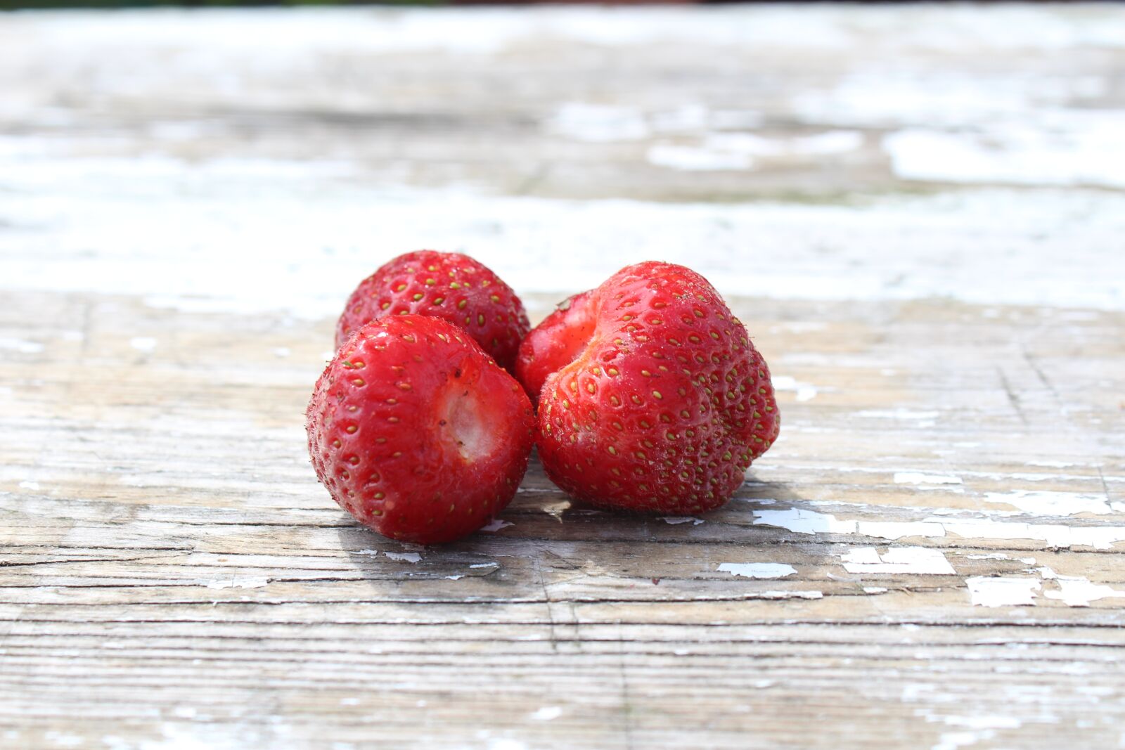Canon EOS 1300D (EOS Rebel T6 / EOS Kiss X80) sample photo. Strawberries, village, summer photography