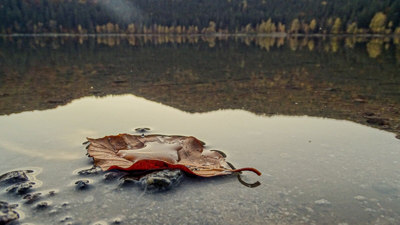 Sony Cyber-shot DSC-HX350 sample photo. Foliage, lake, water photography