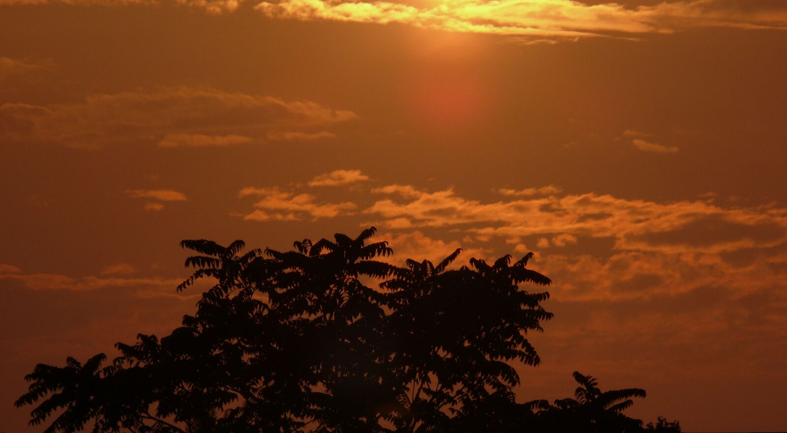 Leica V-LUX 1 sample photo. Sun, sunset, abendstimmung photography