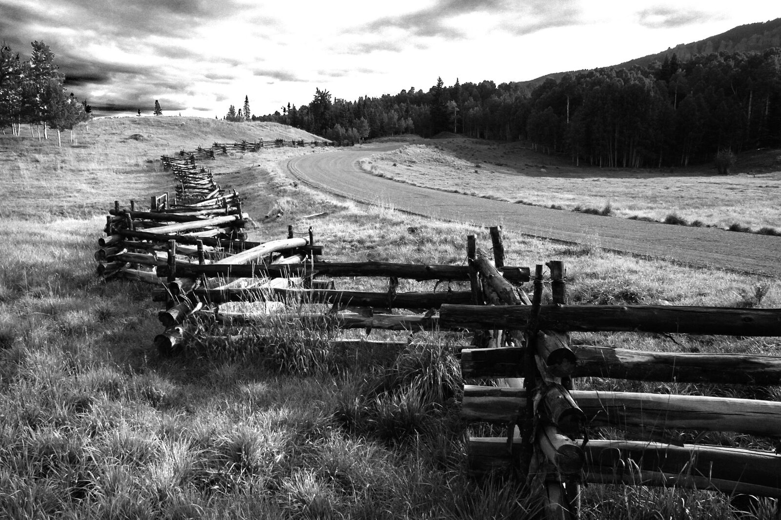 Canon EOS 500D (EOS Rebel T1i / EOS Kiss X3) sample photo. Greyscale, photo, of, wooden photography