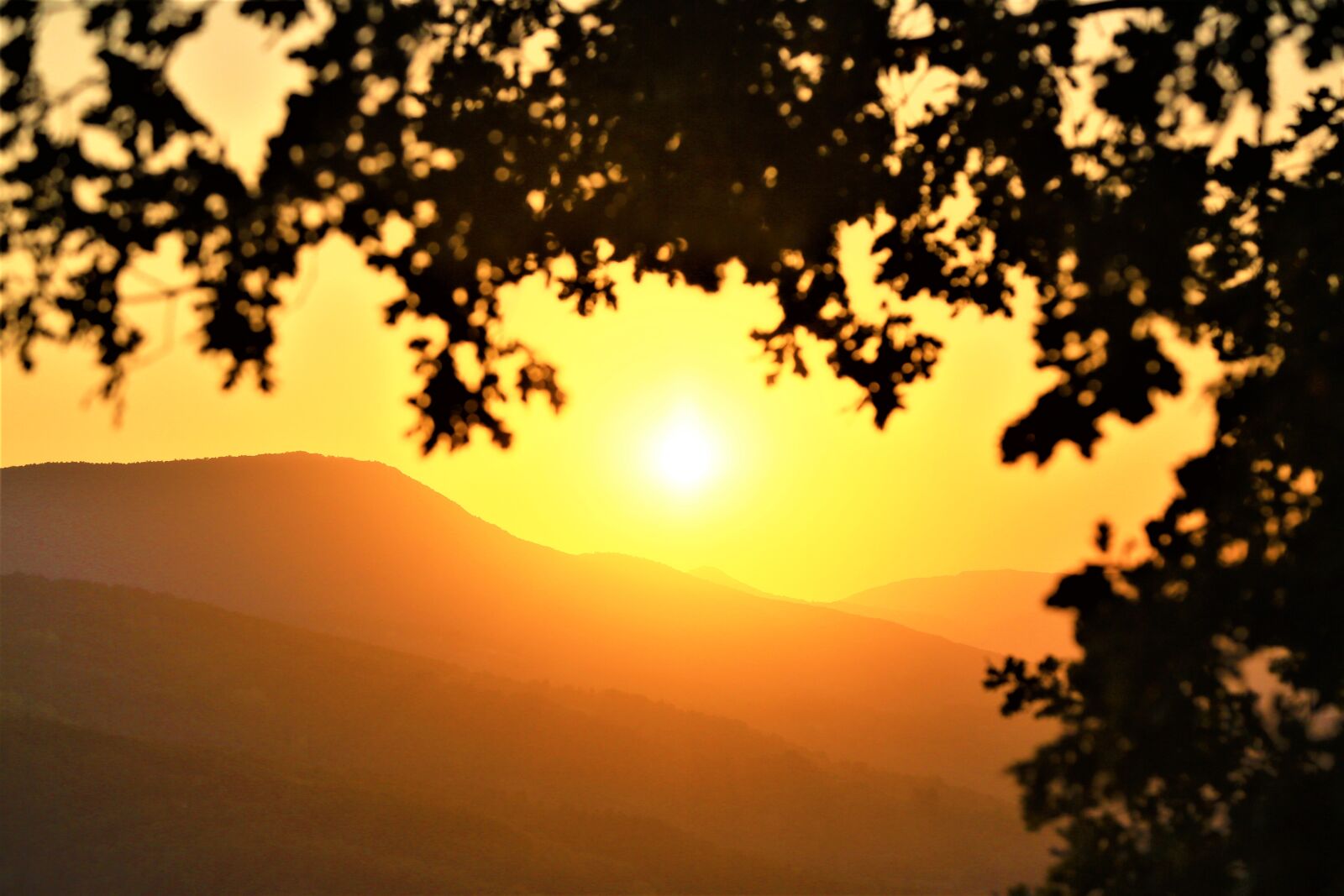 Canon EF 24-105mm F4L IS USM sample photo. Sunset, landscape, nature photography