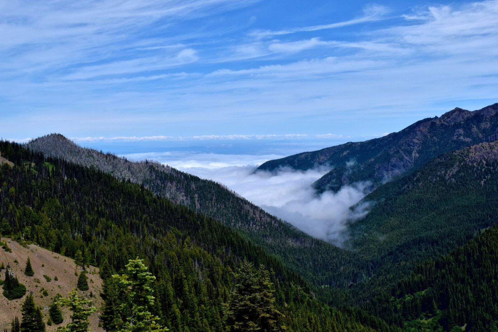 Nikon D3300 sample photo. Mountains, blue sky, nature photography