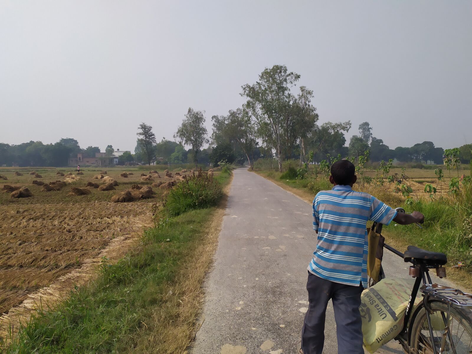 Xiaomi Redmi Note 7 sample photo. Village road, pathway, nature photography