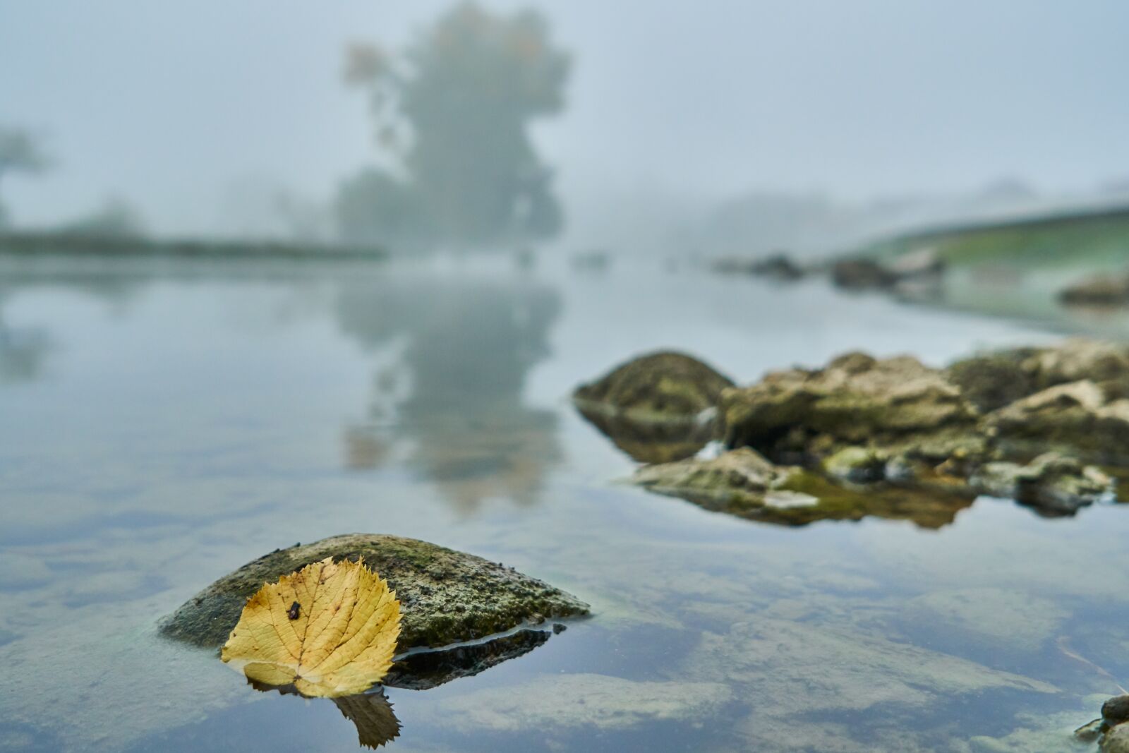 Sony a6300 sample photo. River, autumn leaf, fog photography