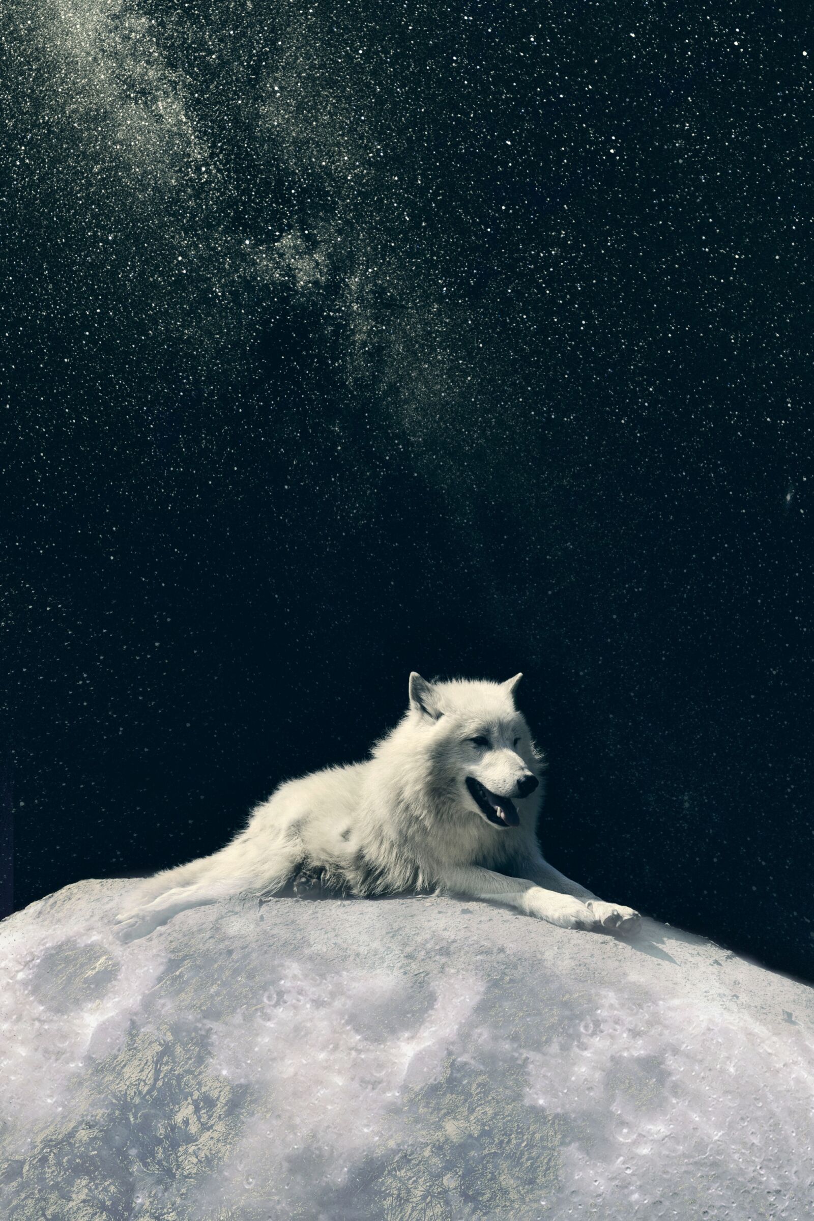 Nikon D3300 sample photo. Wolf, dog, moon photography