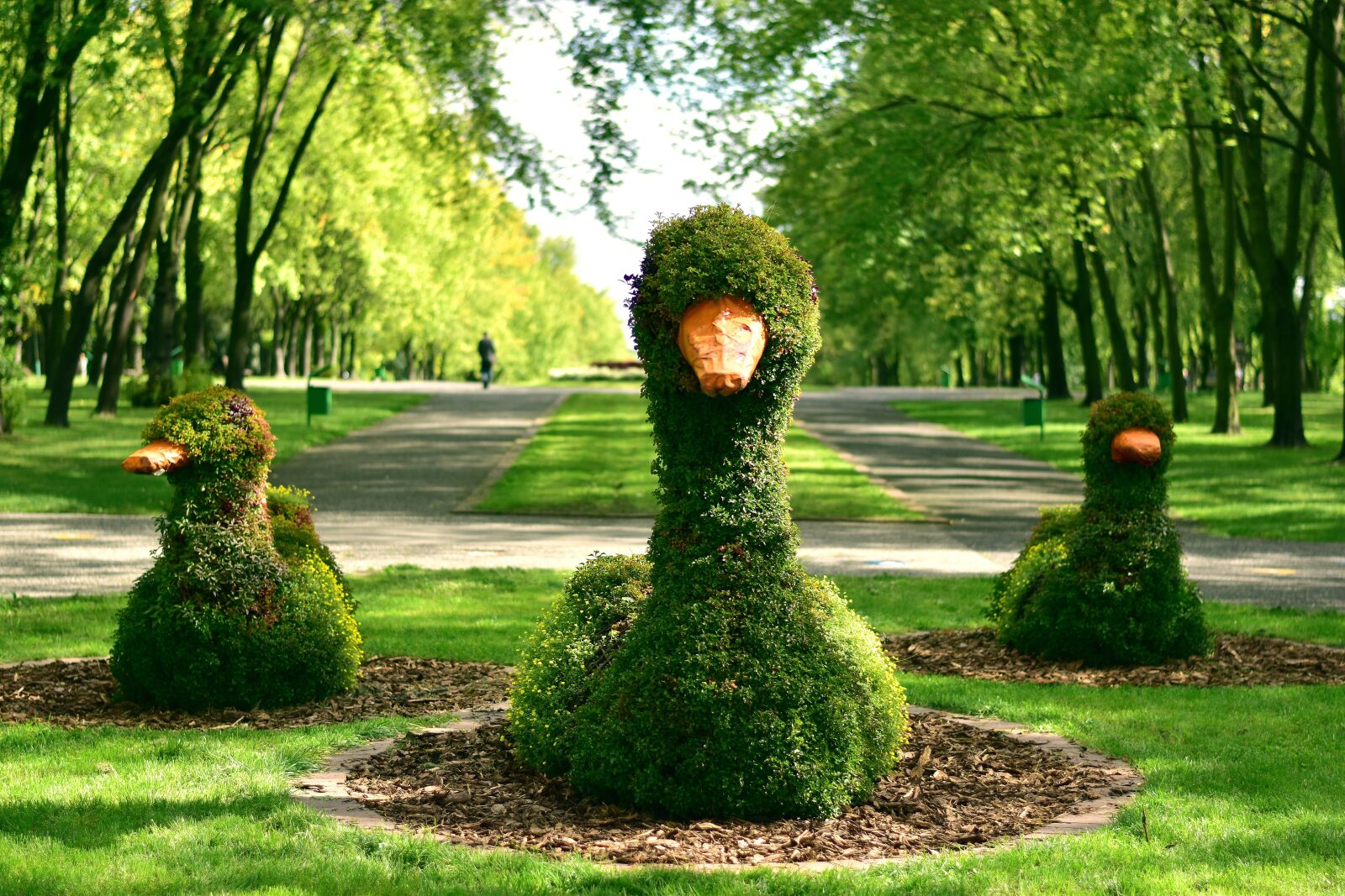 Nikon D3500 sample photo. Park, nature, green photography
