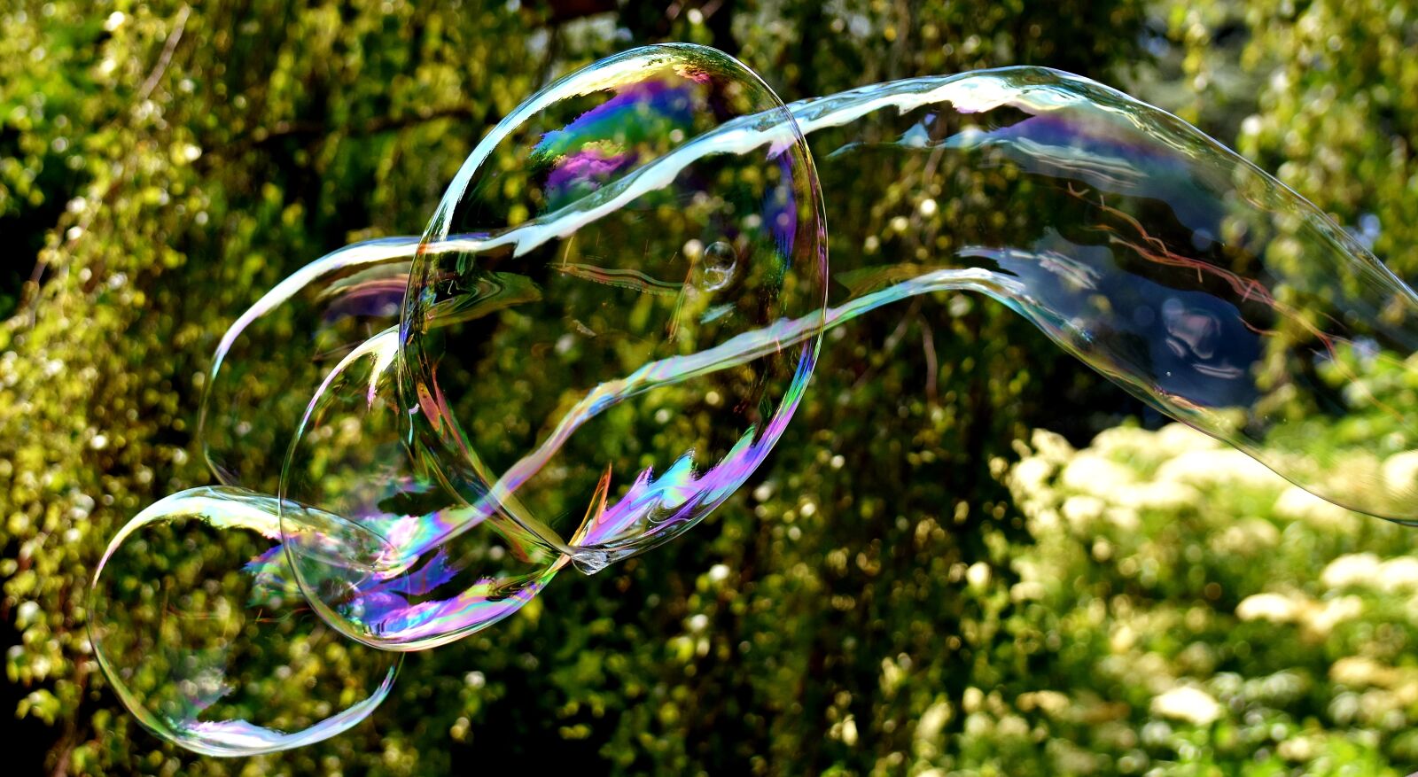 Nikon D7200 sample photo. Soap bubble, huge, large photography
