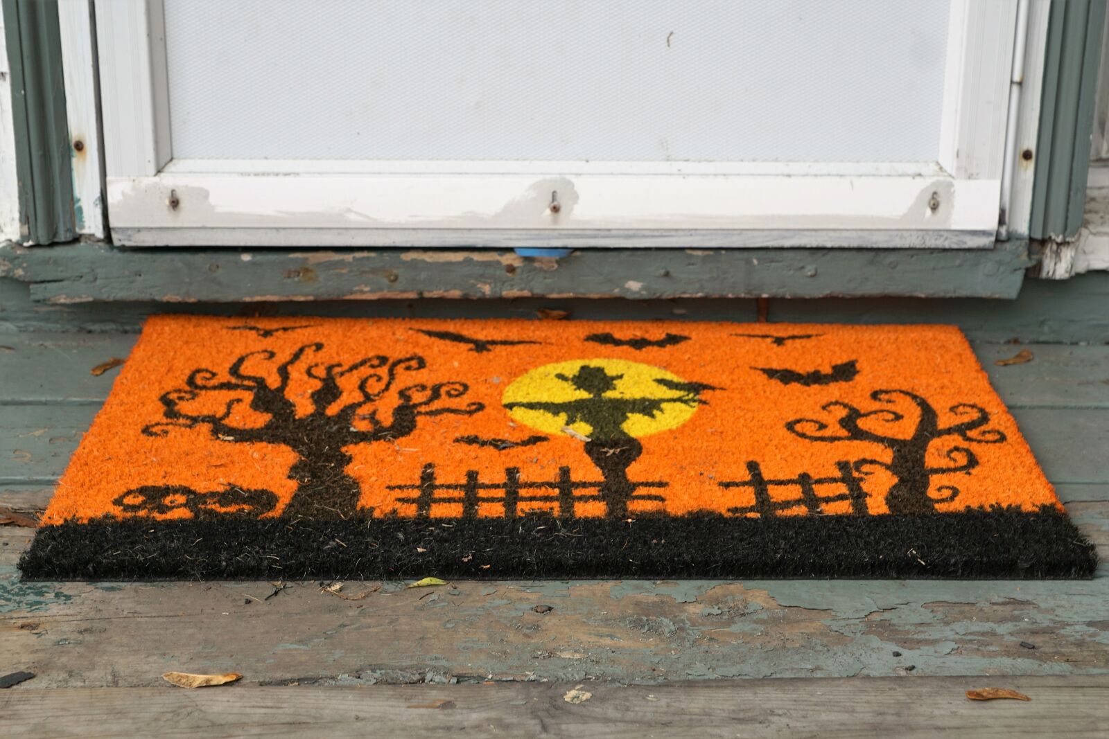 Sony ILCA-77M2 + Sony DT 16-50mm F2.8 SSM sample photo. Input, carpet, halloween photography
