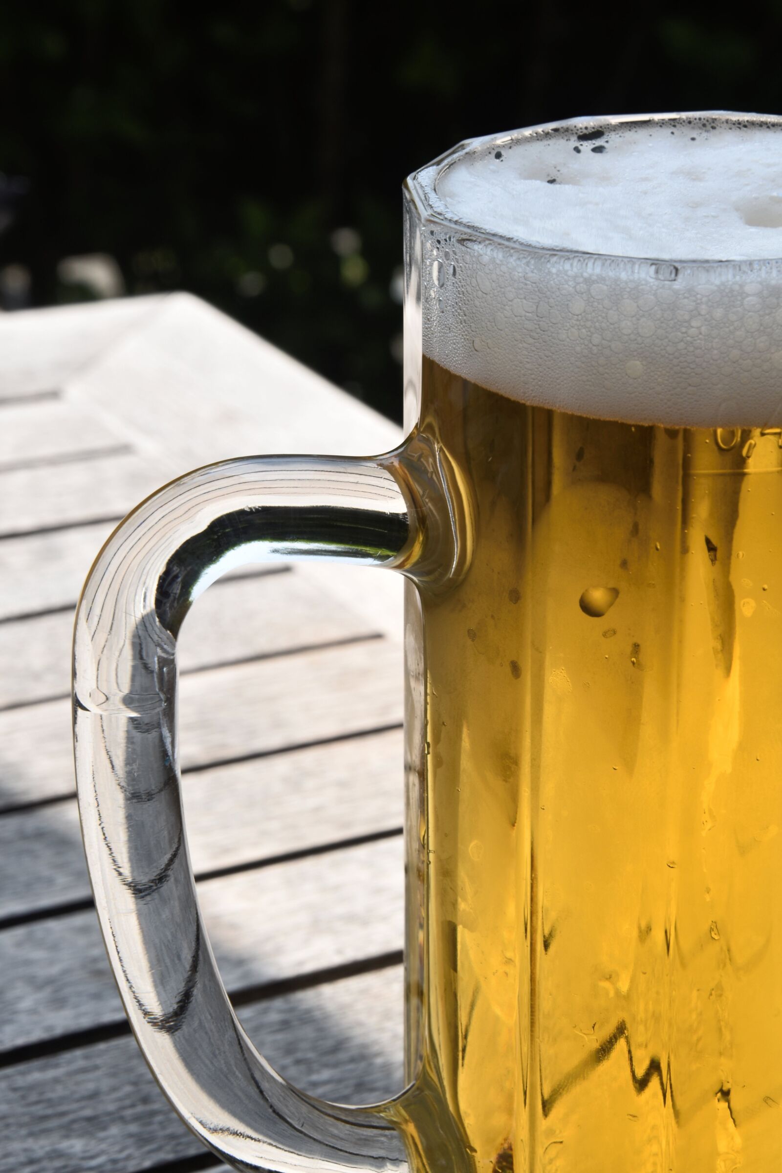 Nikon D5600 sample photo. Beer, beer mug, summer photography