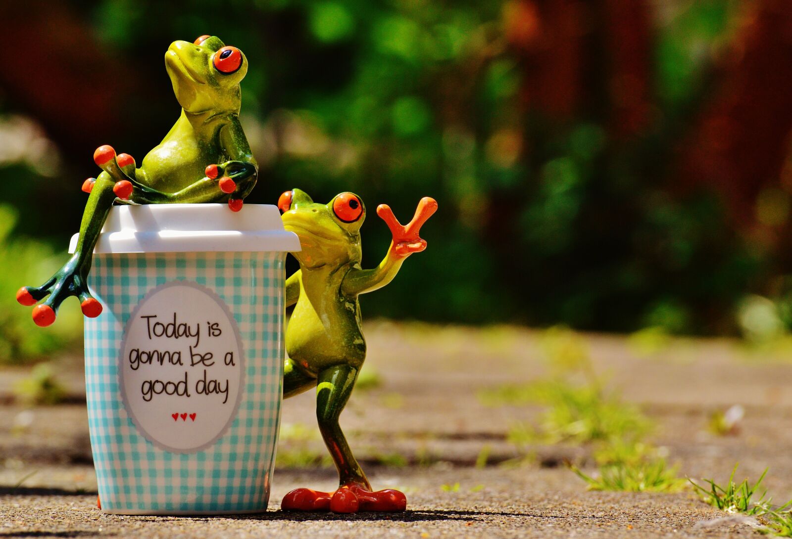 Nikon D3200 sample photo. Beautiful day, joy, frog photography