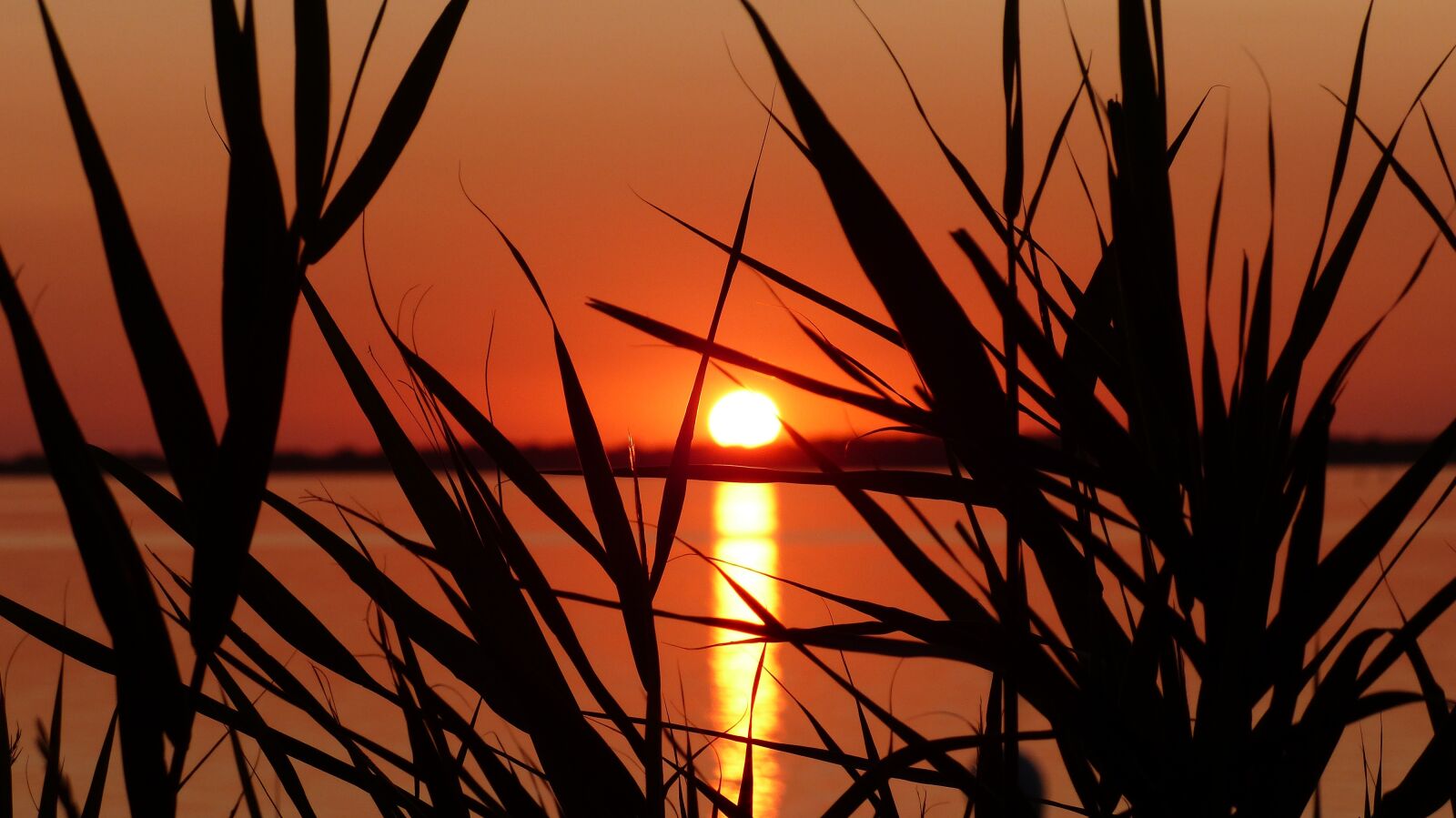 Panasonic Lumix DMC-FZ200 sample photo. Sunset, red, sea photography