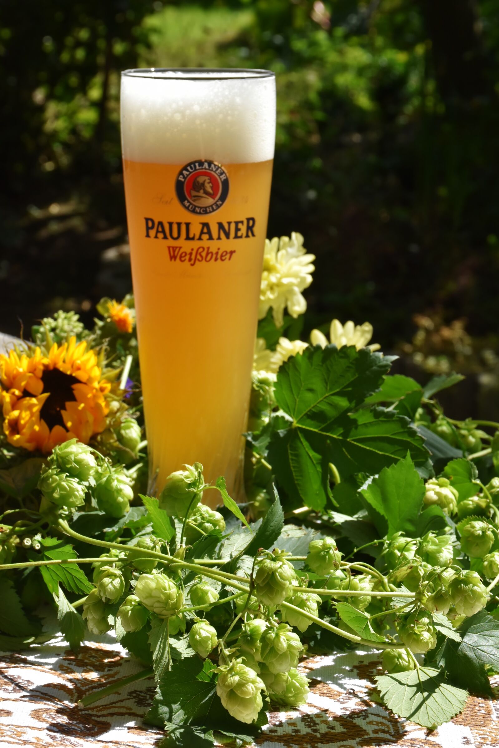 Nikon D7200 sample photo. Hops, hop shoots, beer photography