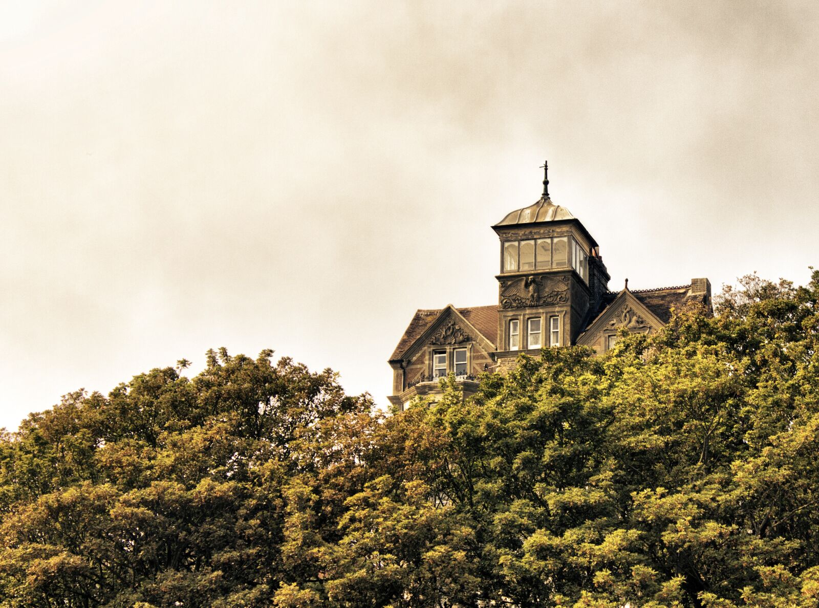 Canon EOS 550D (EOS Rebel T2i / EOS Kiss X4) sample photo. House, hill, forest photography