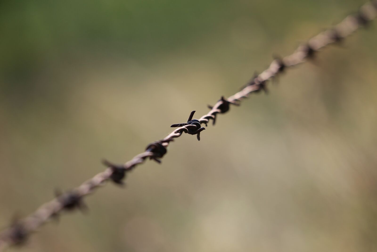 Canon EF 70-300 F4-5.6 IS II USM sample photo. Wire, metal, iron photography