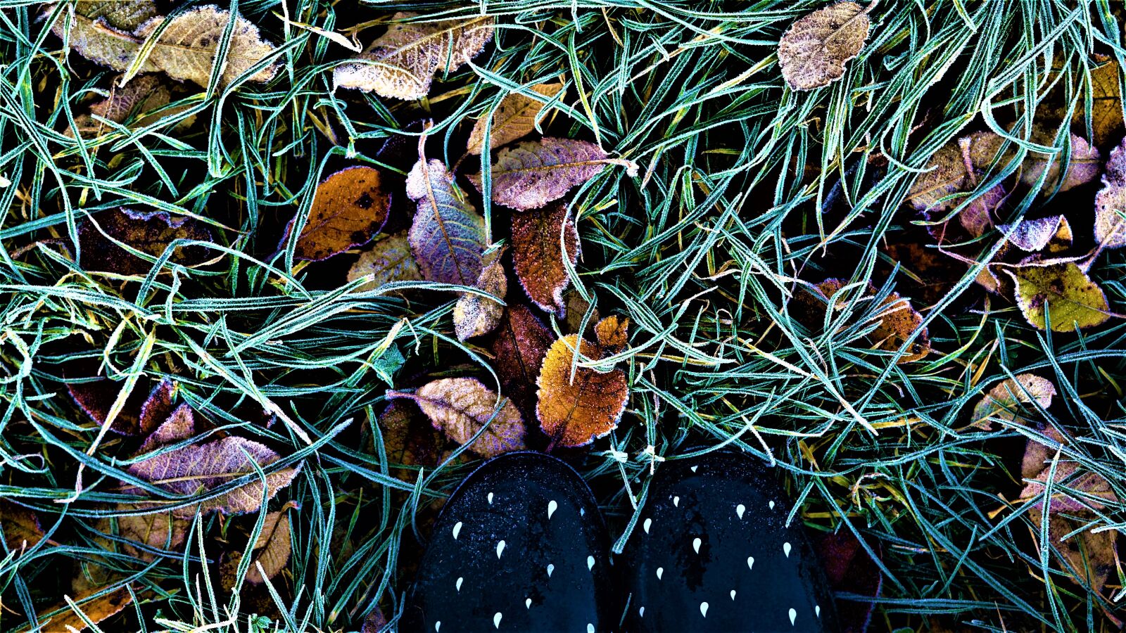 Sony FE 50mm F1.8 sample photo. Autumn, rubber boots, background photography