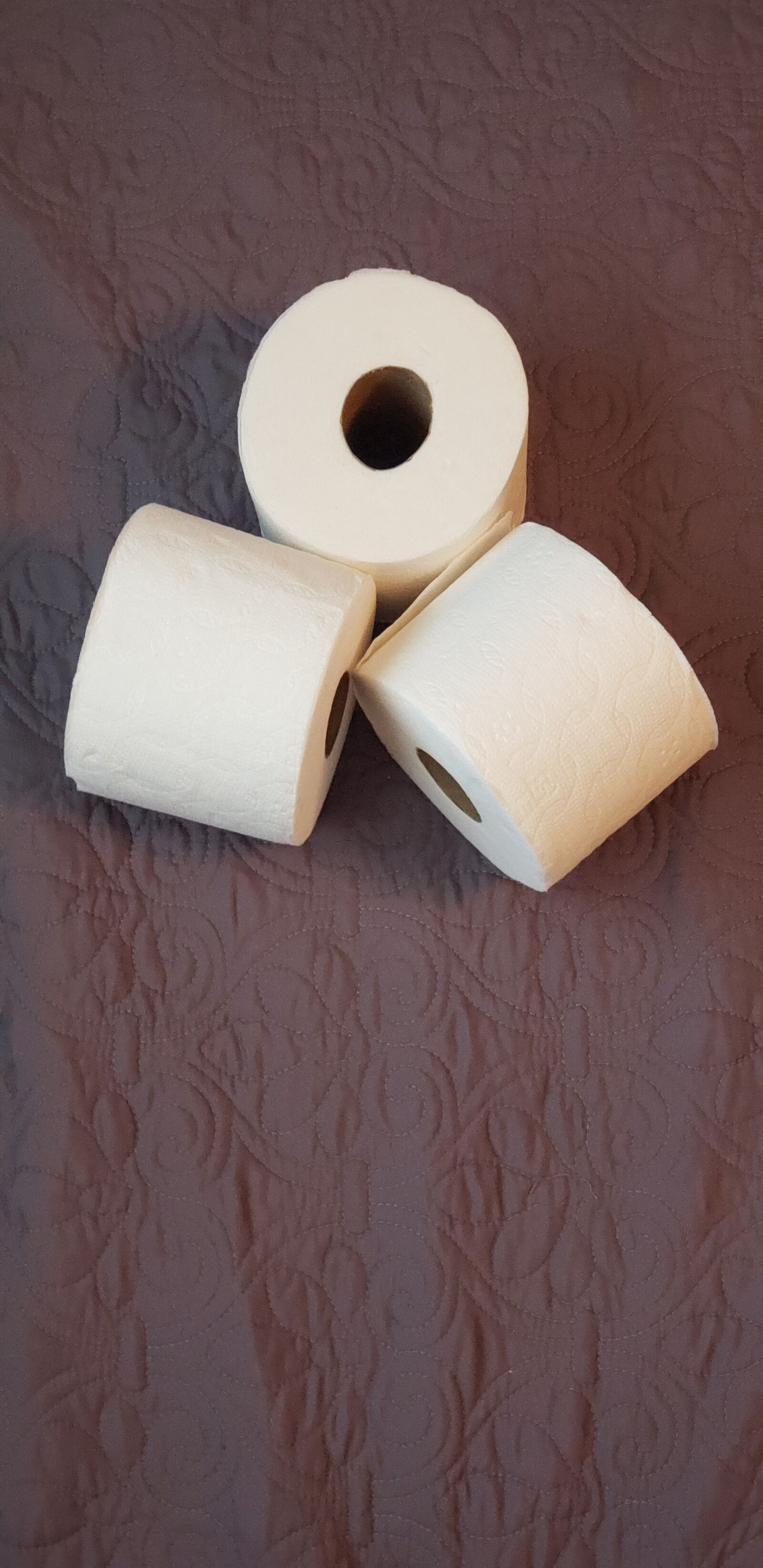 Samsung Galaxy S9+ sample photo. Toilet paper, roll, toilet photography