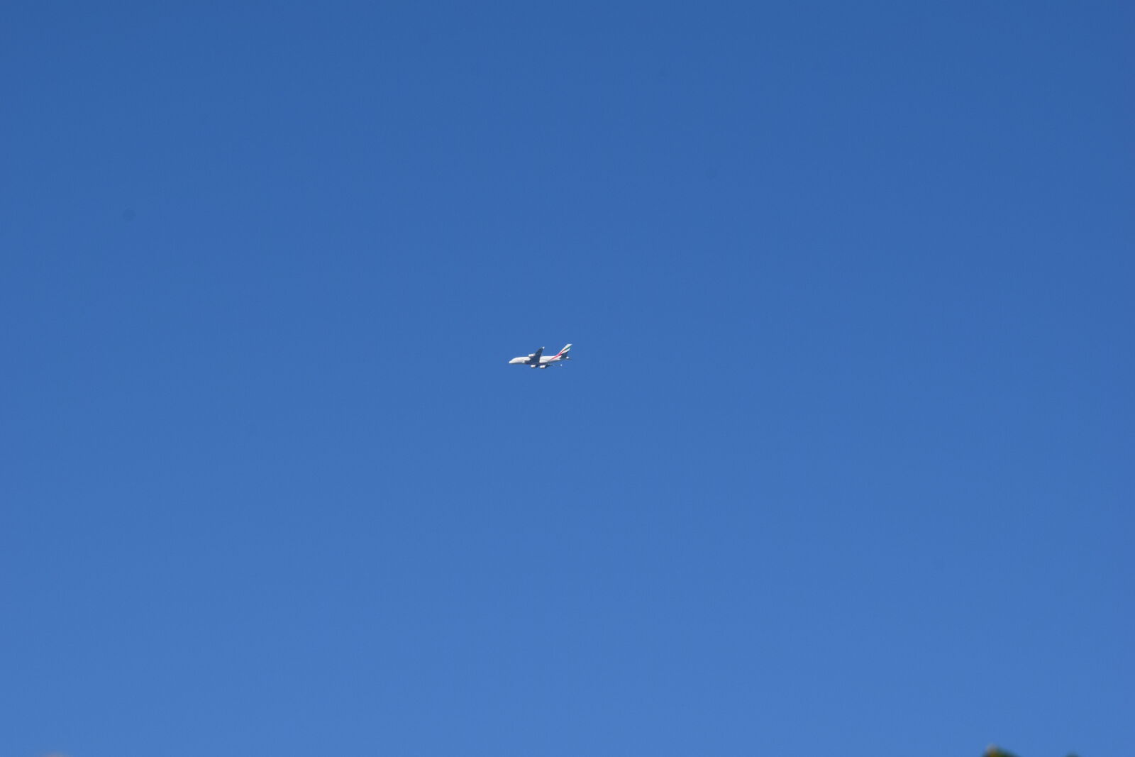 Nikon D3300 sample photo