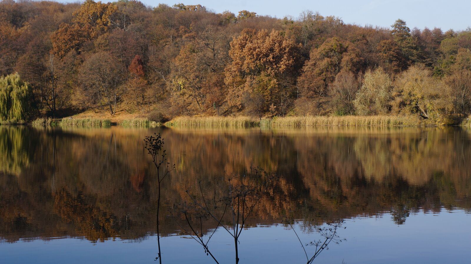 Sony Alpha NEX-5R + Sony E 18-55mm F3.5-5.6 OSS sample photo. Autumn, lake, nature photography