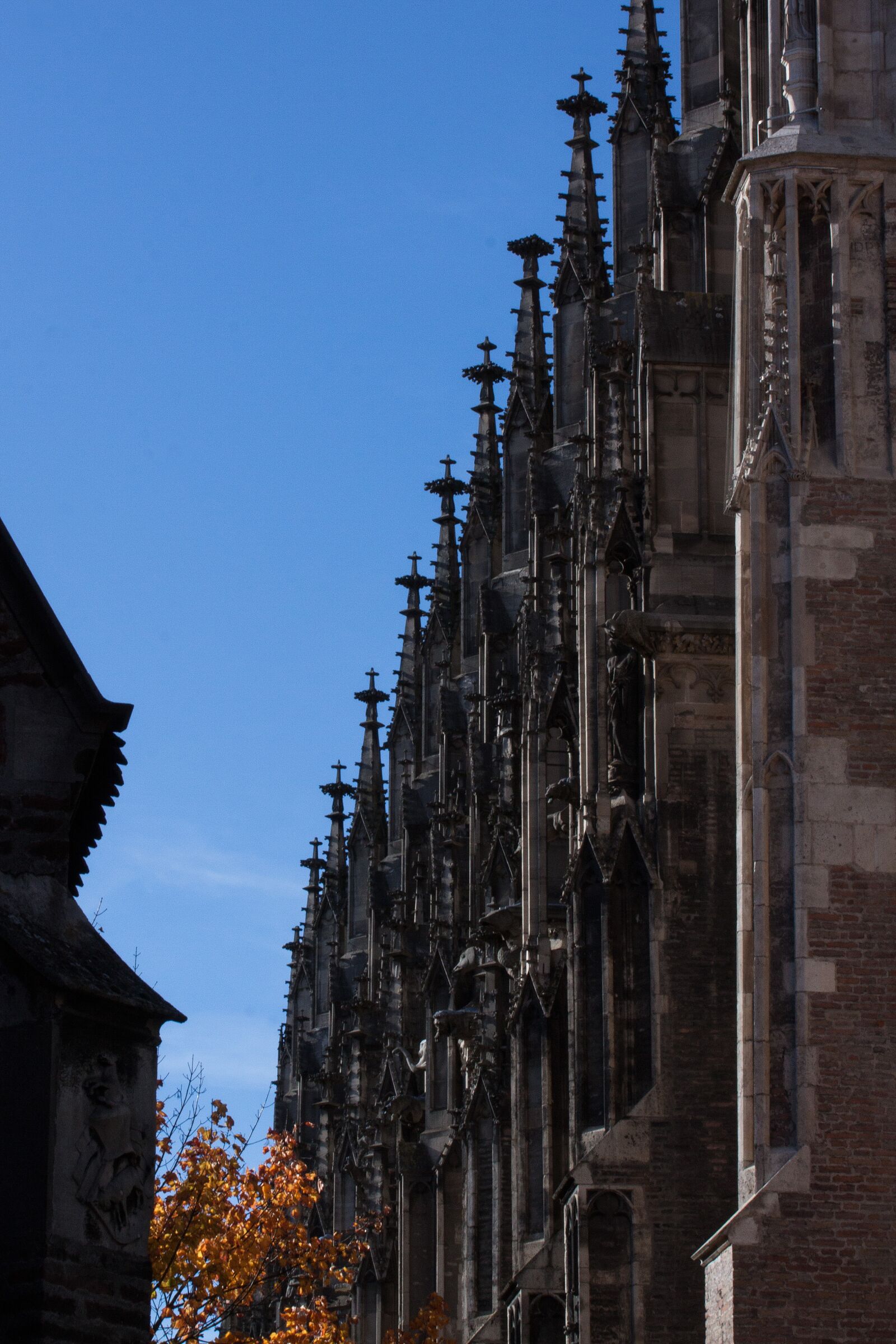 Canon EOS 50D sample photo. Ulm cathedral, architecture, building photography