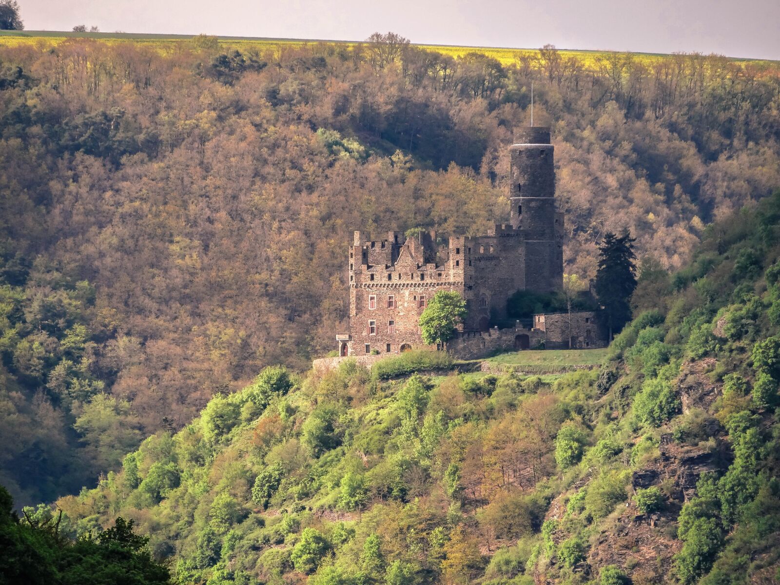 Sony DSC-HX200V sample photo. Castle mouse, castle, rhine photography