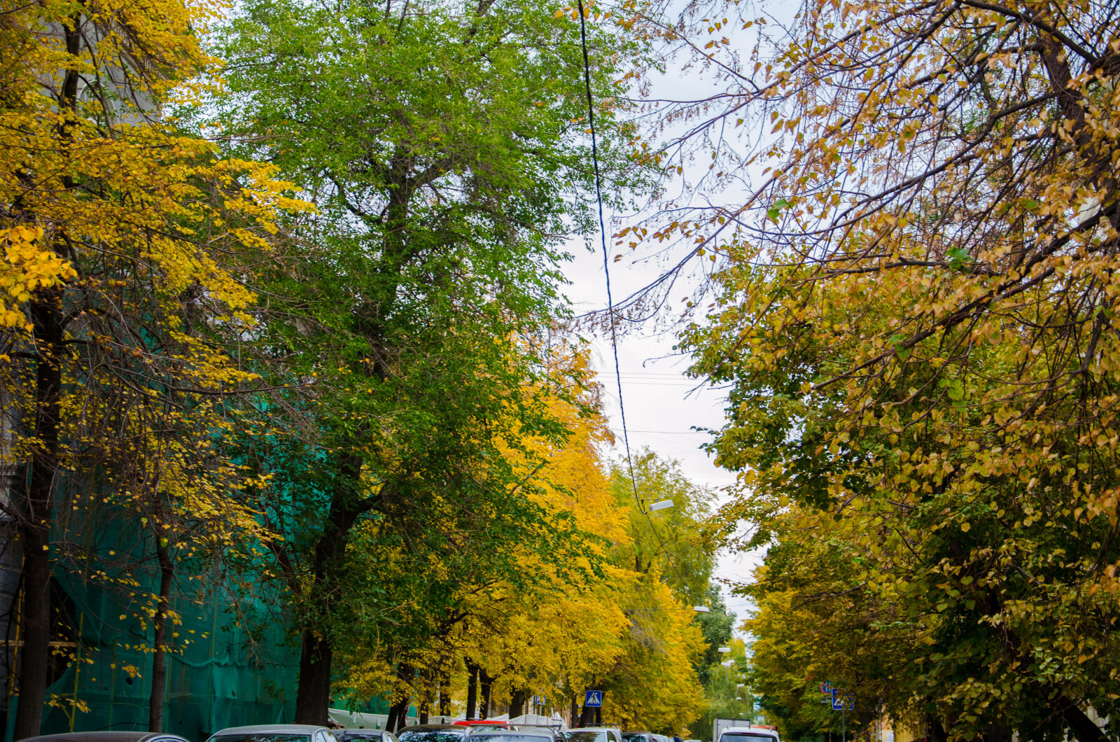 Nikon D5100 sample photo
