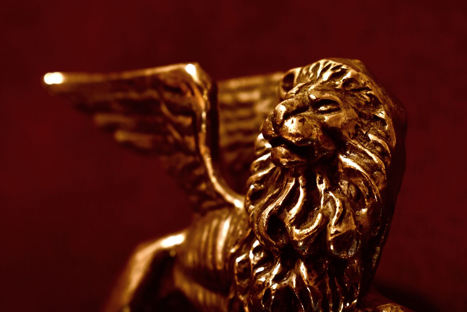 Nikon D3500 sample photo. Lion, gold, venice photography