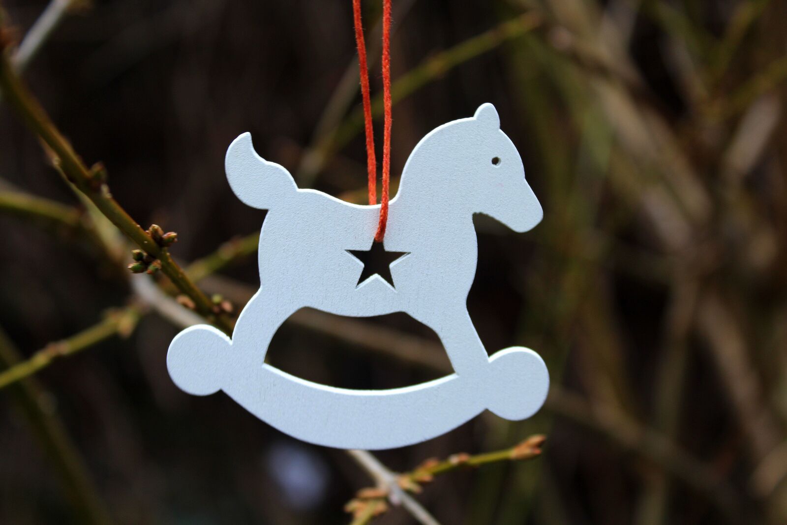 Canon EOS 1200D (EOS Rebel T5 / EOS Kiss X70 / EOS Hi) sample photo. Konik, toy, pendant photography